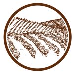 Illustration cercle paysage vignes